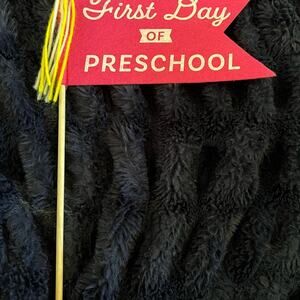 First & Last Day of Preschool Felt Flag Photo Prop Pink School Milestone EUC